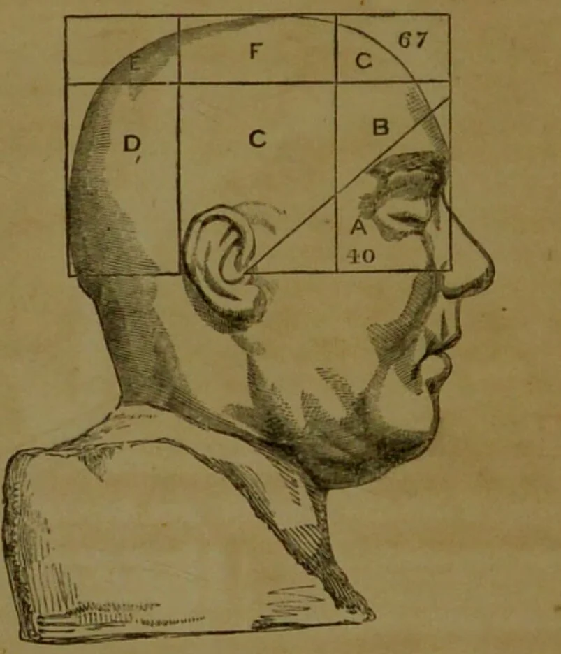 An illustration from Phrenology made practical and popularly explained / by Frederick Bridges., 1861, leaf 70