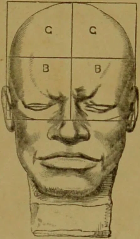 An illustration from Phrenology made practical and popularly explained / by Frederick Bridges., 1861, leaf 73