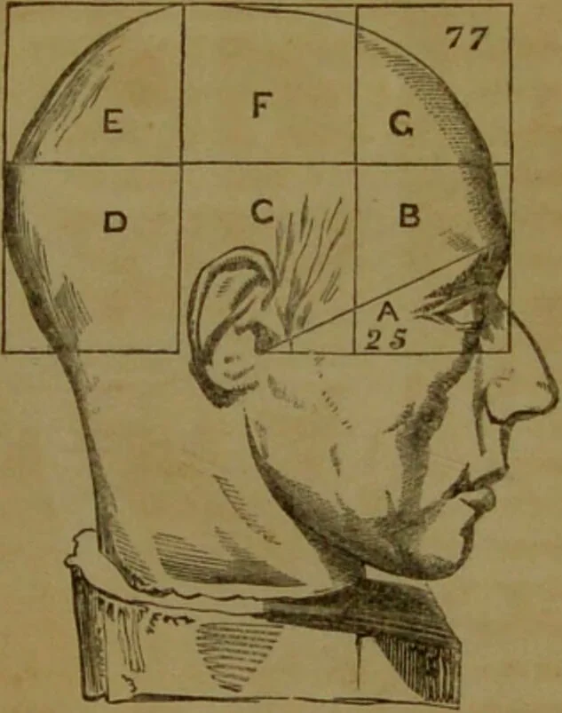 An illustration from Phrenology made practical and popularly explained / by Frederick Bridges., 1861, leaf 74