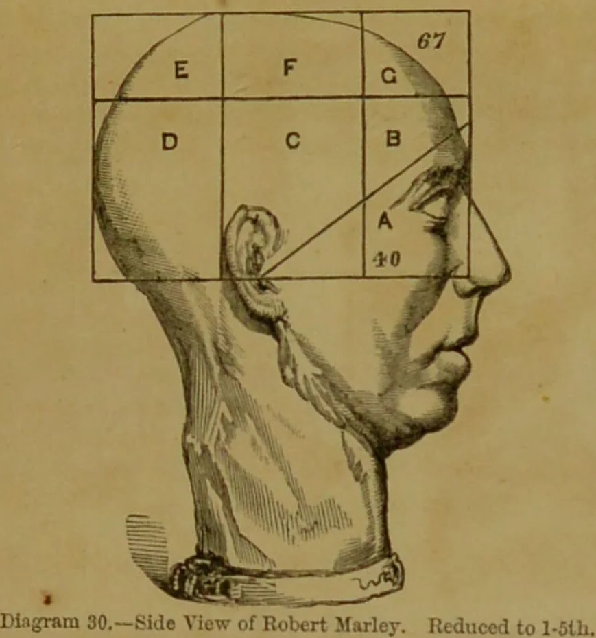 An illustration from Phrenology made practical and popularly explained / by Frederick Bridges., 1861, leaf 77