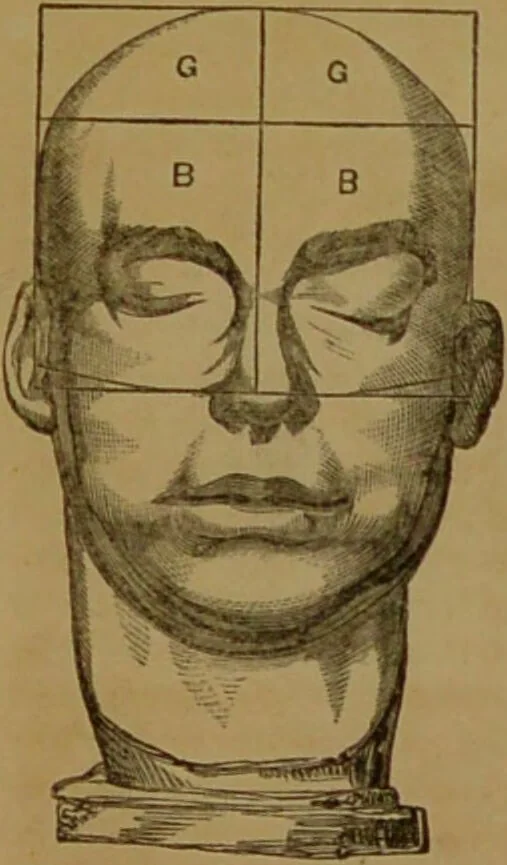 An illustration from Phrenology made practical and popularly explained / by Frederick Bridges., 1861, leaf 77
