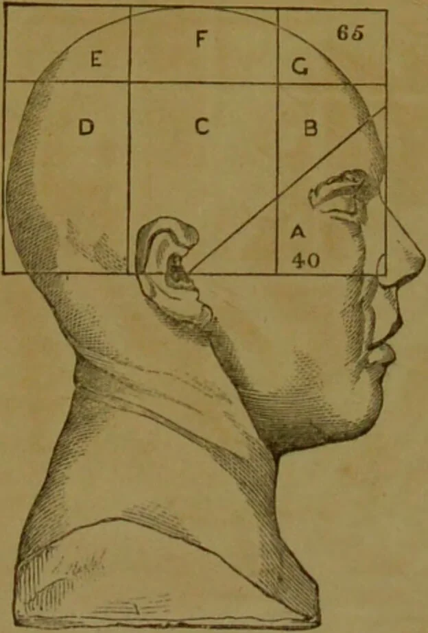 An illustration from Phrenology made practical and popularly explained / by Frederick Bridges., 1861, leaf 78