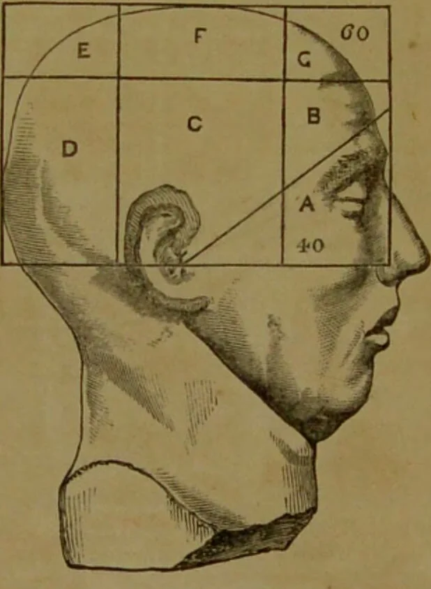 An illustration from Phrenology made practical and popularly explained / by Frederick Bridges., 1861, leaf 78