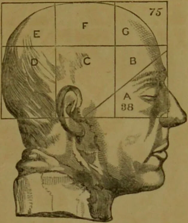 An illustration from Phrenology made practical and popularly explained / by Frederick Bridges., 1861, leaf 79