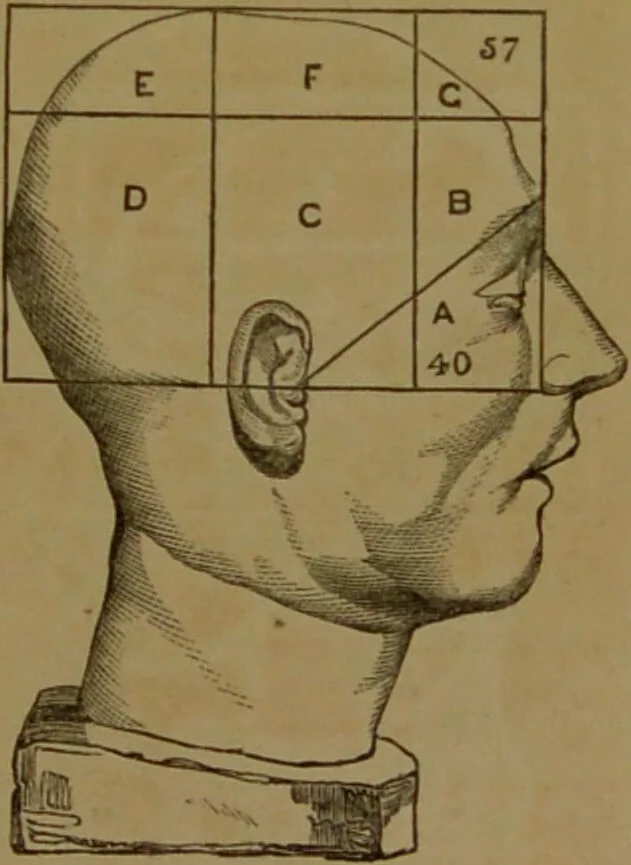 An illustration from Phrenology made practical and popularly explained / by Frederick Bridges., 1861, leaf 79