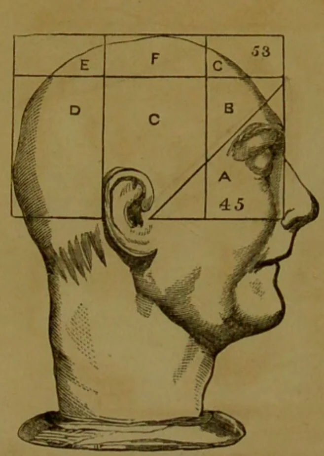 An illustration from Phrenology made practical and popularly explained / by Frederick Bridges., 1861, leaf 80
