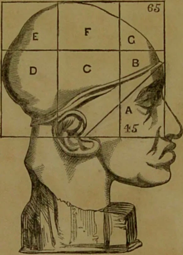 An illustration from Phrenology made practical and popularly explained / by Frederick Bridges., 1861, leaf 80