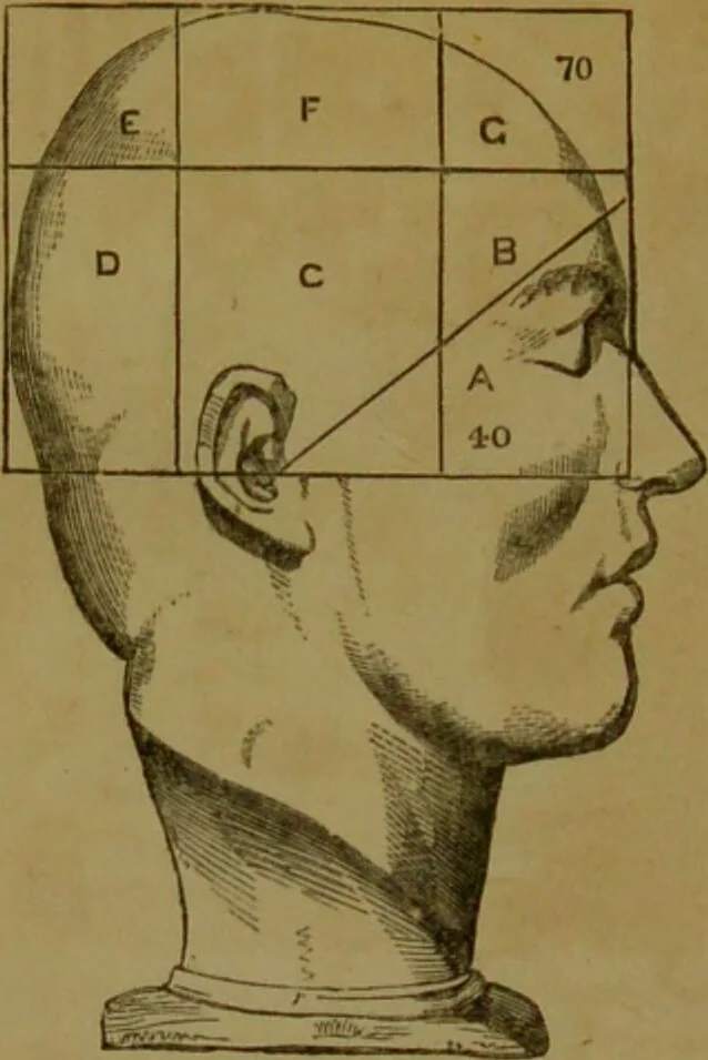 An illustration from Phrenology made practical and popularly explained / by Frederick Bridges., 1861, leaf 82