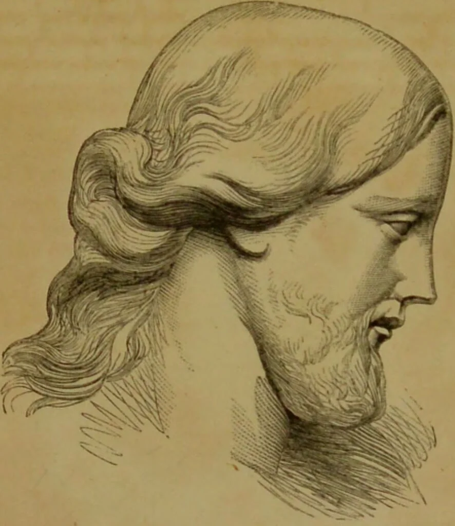 An illustration from Phrenology made practical and popularly explained / by Frederick Bridges., 1861, leaf 83