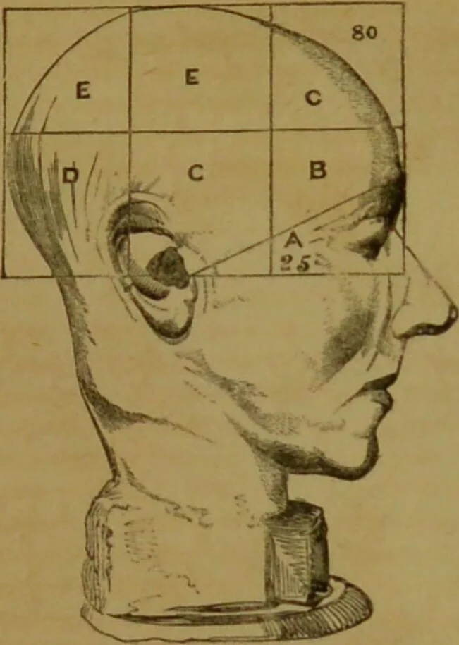 An illustration from Phrenology made practical and popularly explained / by Frederick Bridges., 1861, leaf 87