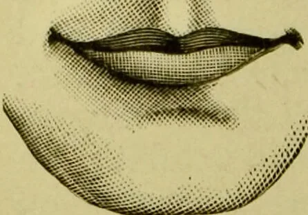 An illustration from A system of practical and scientific physiognomy, or, How to read faces : being a manual of instruction in the knowledge of the human physiognomy and organism, embracing the discoveries of located signs of character in the body and face, as shown by the five natural divisions of the countenance. Volume 2 / by Mary Olmstead Stanton., 1890, leaf 228