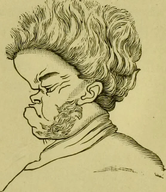 An illustration from A system of practical and scientific physiognomy, or, How to read faces : being a manual of instruction in the knowledge of the human physiognomy and organism, embracing the discoveries of located signs of character in the body and face, as shown by the five natural divisions of the countenance. Volume 2 / by Mary Olmstead Stanton., 1890, leaf 233