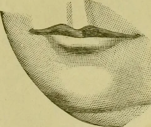 An illustration from A system of practical and scientific physiognomy, or, How to read faces : being a manual of instruction in the knowledge of the human physiognomy and organism, embracing the discoveries of located signs of character in the body and face, as shown by the five natural divisions of the countenance. Volume 2 / by Mary Olmstead Stanton., 1890, leaf 261
