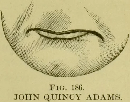 An illustration from A system of practical and scientific physiognomy, or, How to read faces : being a manual of instruction in the knowledge of the human physiognomy and organism, embracing the discoveries of located signs of character in the body and face, as shown by the five natural divisions of the countenance. Volume 2 / by Mary Olmstead Stanton., 1890, leaf 263