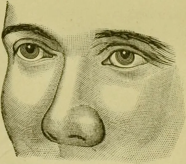 An illustration from A system of practical and scientific physiognomy, or, How to read faces : being a manual of instruction in the knowledge of the human physiognomy and organism, embracing the discoveries of located signs of character in the body and face, as shown by the five natural divisions of the countenance. Volume 2 / by Mary Olmstead Stanton., 1890, leaf 285