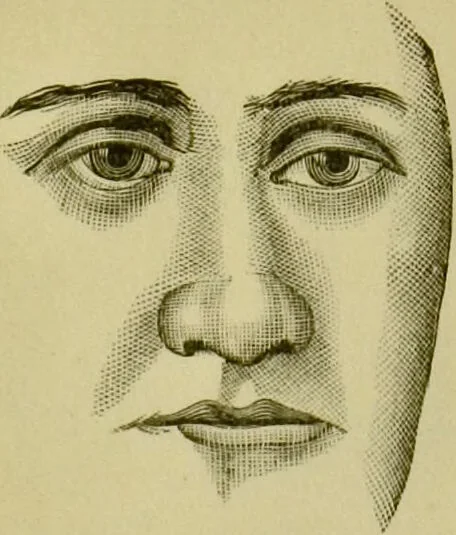 An illustration from A system of practical and scientific physiognomy, or, How to read faces : being a manual of instruction in the knowledge of the human physiognomy and organism, embracing the discoveries of located signs of character in the body and face, as shown by the five natural divisions of the countenance. Volume 2 / by Mary Olmstead Stanton., 1890, leaf 286
