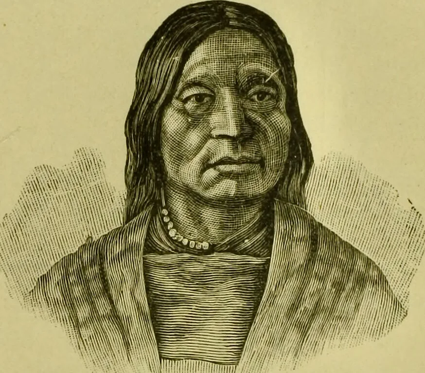 An illustration from A system of practical and scientific physiognomy, or, How to read faces : being a manual of instruction in the knowledge of the human physiognomy and organism, embracing the discoveries of located signs of character in the body and face, as shown by the five natural divisions of the countenance. Volume 2 / by Mary Olmstead Stanton., 1890, leaf 287