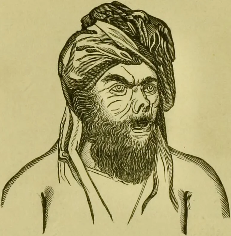 An illustration from A system of practical and scientific physiognomy, or, How to read faces : being a manual of instruction in the knowledge of the human physiognomy and organism, embracing the discoveries of located signs of character in the body and face, as shown by the five natural divisions of the countenance. Volume 2 / by Mary Olmstead Stanton., 1890, leaf 319