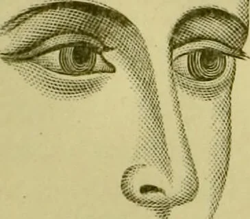 An illustration from A system of practical and scientific physiognomy, or, How to read faces : being a manual of instruction in the knowledge of the human physiognomy and organism, embracing the discoveries of located signs of character in the body and face, as shown by the five natural divisions of the countenance. Volume 2 / by Mary Olmstead Stanton., 1890, leaf 325