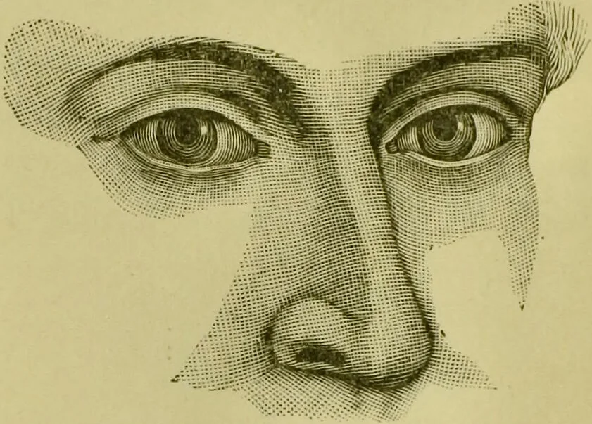 An illustration from A system of practical and scientific physiognomy, or, How to read faces : being a manual of instruction in the knowledge of the human physiognomy and organism, embracing the discoveries of located signs of character in the body and face, as shown by the five natural divisions of the countenance. Volume 2 / by Mary Olmstead Stanton., 1890, leaf 333