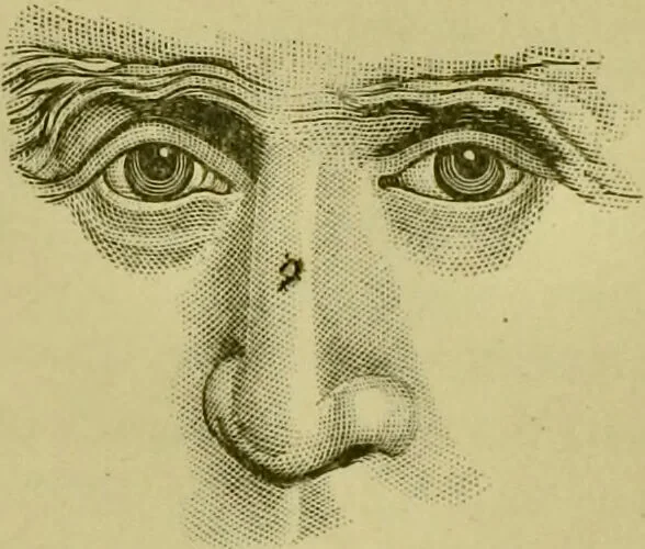 An illustration from A system of practical and scientific physiognomy, or, How to read faces : being a manual of instruction in the knowledge of the human physiognomy and organism, embracing the discoveries of located signs of character in the body and face, as shown by the five natural divisions of the countenance. Volume 2 / by Mary Olmstead Stanton., 1890, leaf 335