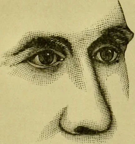 An illustration from A system of practical and scientific physiognomy, or, How to read faces : being a manual of instruction in the knowledge of the human physiognomy and organism, embracing the discoveries of located signs of character in the body and face, as shown by the five natural divisions of the countenance. Volume 2 / by Mary Olmstead Stanton., 1890, leaf 340