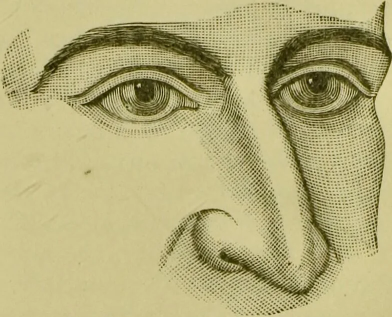 An illustration from A system of practical and scientific physiognomy, or, How to read faces : being a manual of instruction in the knowledge of the human physiognomy and organism, embracing the discoveries of located signs of character in the body and face, as shown by the five natural divisions of the countenance. Volume 2 / by Mary Olmstead Stanton., 1890, leaf 351