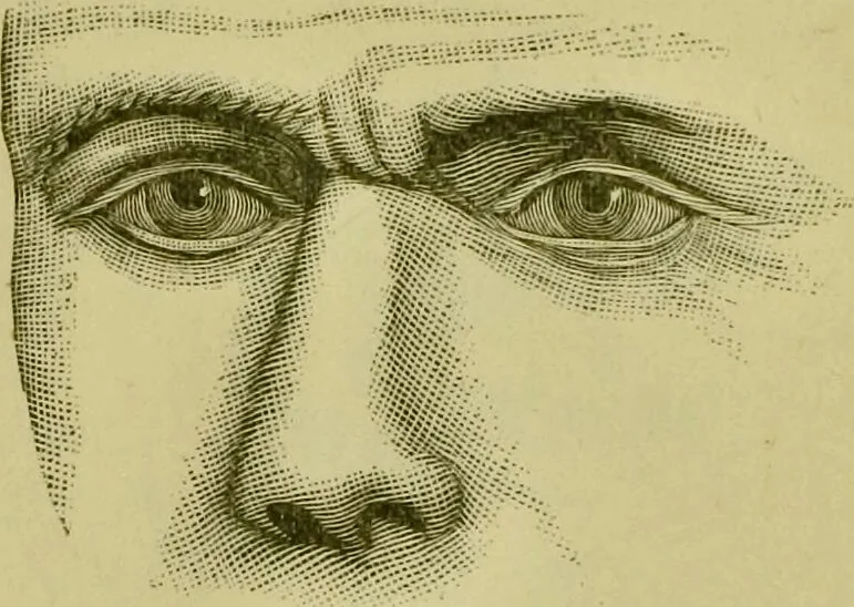 An illustration from A system of practical and scientific physiognomy, or, How to read faces : being a manual of instruction in the knowledge of the human physiognomy and organism, embracing the discoveries of located signs of character in the body and face, as shown by the five natural divisions of the countenance. Volume 2 / by Mary Olmstead Stanton., 1890, leaf 355