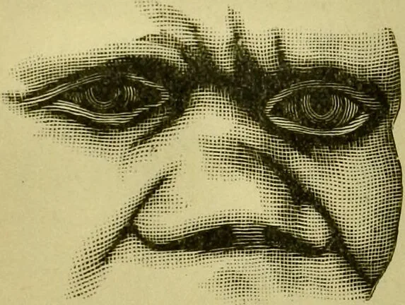 An illustration from A system of practical and scientific physiognomy, or, How to read faces : being a manual of instruction in the knowledge of the human physiognomy and organism, embracing the discoveries of located signs of character in the body and face, as shown by the five natural divisions of the countenance. Volume 2 / by Mary Olmstead Stanton., 1890, leaf 356