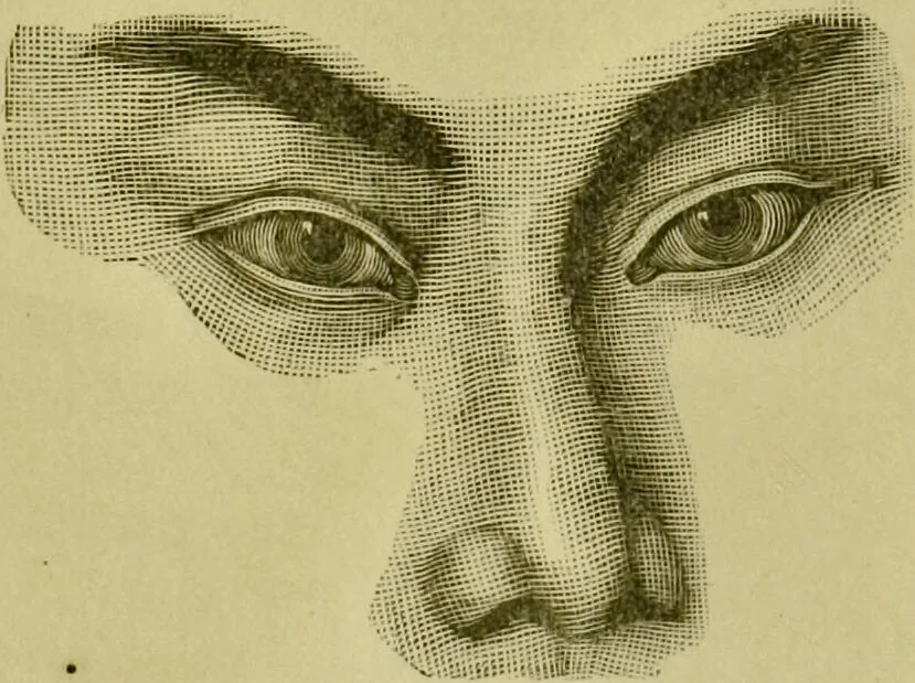 An illustration from A system of practical and scientific physiognomy, or, How to read faces : being a manual of instruction in the knowledge of the human physiognomy and organism, embracing the discoveries of located signs of character in the body and face, as shown by the five natural divisions of the countenance. Volume 2 / by Mary Olmstead Stanton., 1890, leaf 368