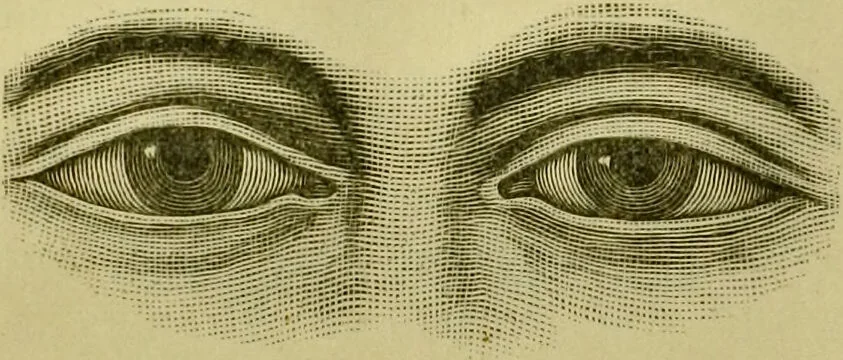 An illustration from A system of practical and scientific physiognomy, or, How to read faces : being a manual of instruction in the knowledge of the human physiognomy and organism, embracing the discoveries of located signs of character in the body and face, as shown by the five natural divisions of the countenance. Volume 2 / by Mary Olmstead Stanton., 1890, leaf 368