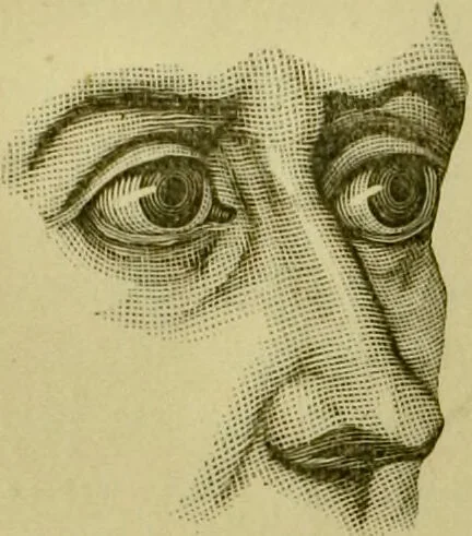An illustration from A system of practical and scientific physiognomy, or, How to read faces : being a manual of instruction in the knowledge of the human physiognomy and organism, embracing the discoveries of located signs of character in the body and face, as shown by the five natural divisions of the countenance. Volume 2 / by Mary Olmstead Stanton., 1890, leaf 368