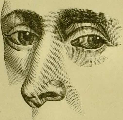 An illustration from A system of practical and scientific physiognomy, or, How to read faces : being a manual of instruction in the knowledge of the human physiognomy and organism, embracing the discoveries of located signs of character in the body and face, as shown by the five natural divisions of the countenance. Volume 2 / by Mary Olmstead Stanton., 1890, leaf 369