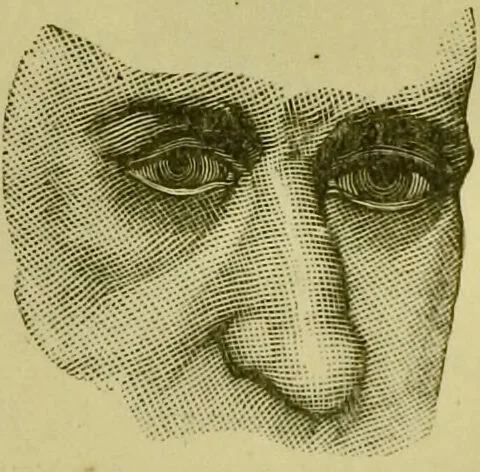 An illustration from A system of practical and scientific physiognomy, or, How to read faces : being a manual of instruction in the knowledge of the human physiognomy and organism, embracing the discoveries of located signs of character in the body and face, as shown by the five natural divisions of the countenance. Volume 2 / by Mary Olmstead Stanton., 1890, leaf 369