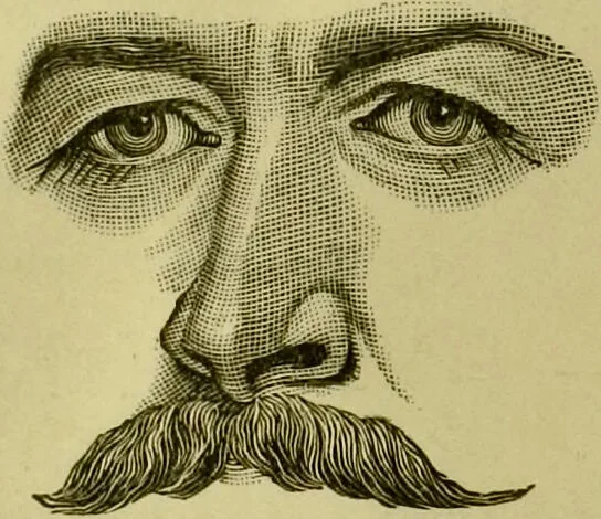 An illustration from A system of practical and scientific physiognomy, or, How to read faces : being a manual of instruction in the knowledge of the human physiognomy and organism, embracing the discoveries of located signs of character in the body and face, as shown by the five natural divisions of the countenance. Volume 2 / by Mary Olmstead Stanton., 1890, leaf 370