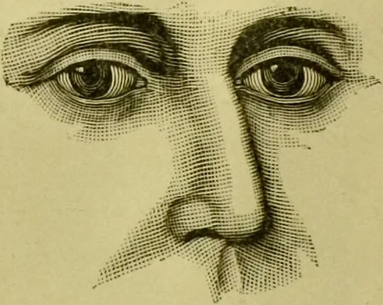 An illustration from A system of practical and scientific physiognomy, or, How to read faces : being a manual of instruction in the knowledge of the human physiognomy and organism, embracing the discoveries of located signs of character in the body and face, as shown by the five natural divisions of the countenance. Volume 2 / by Mary Olmstead Stanton., 1890, leaf 370