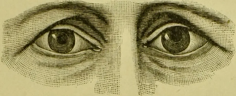 An illustration from A system of practical and scientific physiognomy, or, How to read faces : being a manual of instruction in the knowledge of the human physiognomy and organism, embracing the discoveries of located signs of character in the body and face, as shown by the five natural divisions of the countenance. Volume 2 / by Mary Olmstead Stanton., 1890, leaf 371