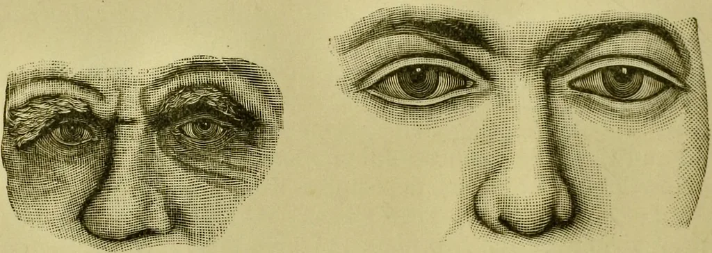 An illustration from A system of practical and scientific physiognomy, or, How to read faces : being a manual of instruction in the knowledge of the human physiognomy and organism, embracing the discoveries of located signs of character in the body and face, as shown by the five natural divisions of the countenance. Volume 2 / by Mary Olmstead Stanton., 1890, leaf 372