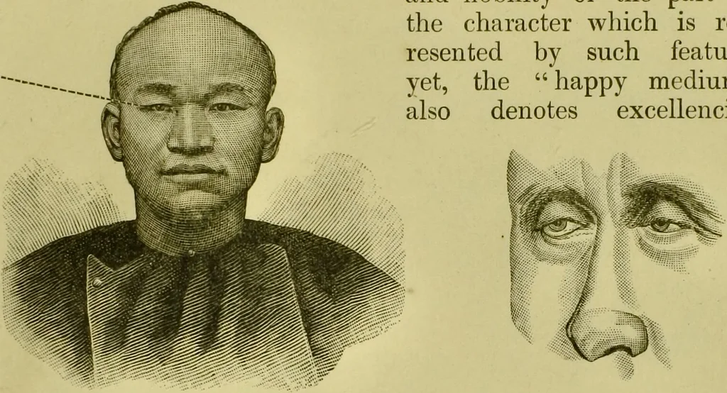 An illustration from A system of practical and scientific physiognomy, or, How to read faces : being a manual of instruction in the knowledge of the human physiognomy and organism, embracing the discoveries of located signs of character in the body and face, as shown by the five natural divisions of the countenance. Volume 2 / by Mary Olmstead Stanton., 1890, leaf 373
