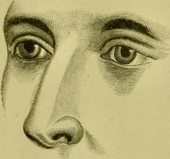 An illustration from A system of practical and scientific physiognomy, or, How to read faces : being a manual of instruction in the knowledge of the human physiognomy and organism, embracing the discoveries of located signs of character in the body and face, as shown by the five natural divisions of the countenance. Volume 2 / by Mary Olmstead Stanton., 1890, leaf 375