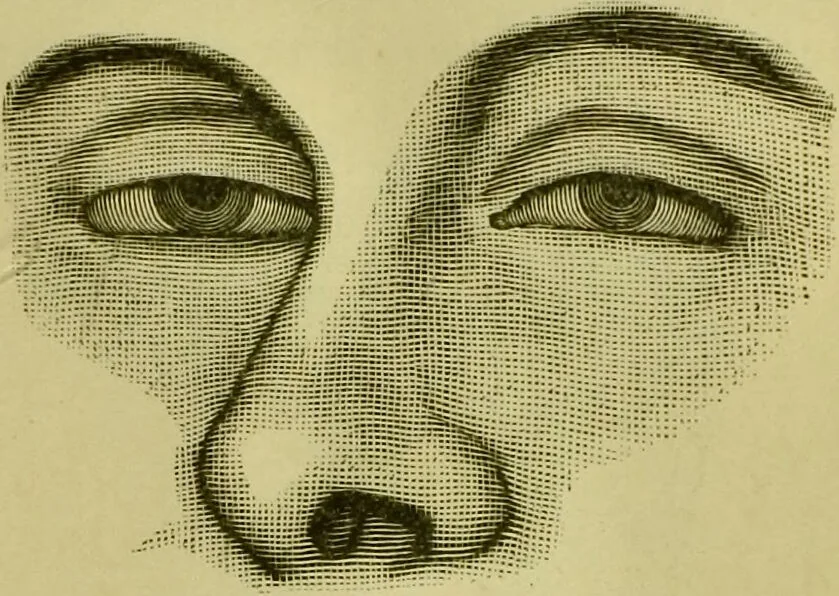 An illustration from A system of practical and scientific physiognomy, or, How to read faces : being a manual of instruction in the knowledge of the human physiognomy and organism, embracing the discoveries of located signs of character in the body and face, as shown by the five natural divisions of the countenance. Volume 2 / by Mary Olmstead Stanton., 1890, leaf 375