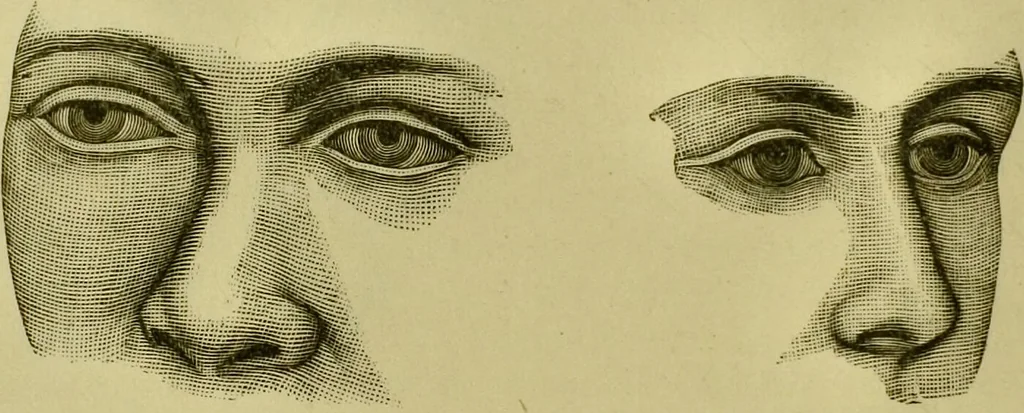 An illustration from A system of practical and scientific physiognomy, or, How to read faces : being a manual of instruction in the knowledge of the human physiognomy and organism, embracing the discoveries of located signs of character in the body and face, as shown by the five natural divisions of the countenance. Volume 2 / by Mary Olmstead Stanton., 1890, leaf 376