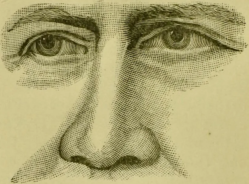 An illustration from A system of practical and scientific physiognomy, or, How to read faces : being a manual of instruction in the knowledge of the human physiognomy and organism, embracing the discoveries of located signs of character in the body and face, as shown by the five natural divisions of the countenance. Volume 2 / by Mary Olmstead Stanton., 1890, leaf 381