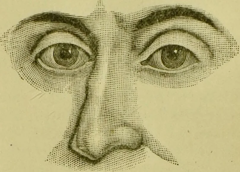 An illustration from A system of practical and scientific physiognomy, or, How to read faces : being a manual of instruction in the knowledge of the human physiognomy and organism, embracing the discoveries of located signs of character in the body and face, as shown by the five natural divisions of the countenance. Volume 2 / by Mary Olmstead Stanton., 1890, leaf 381