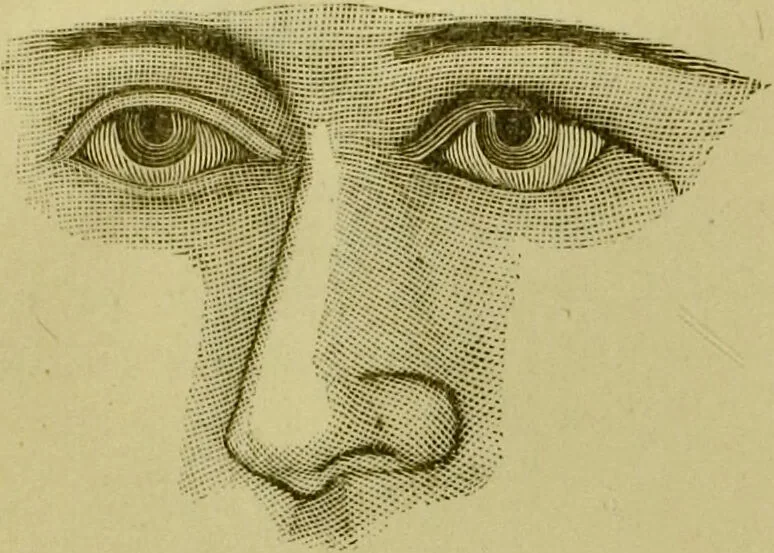 An illustration from A system of practical and scientific physiognomy, or, How to read faces : being a manual of instruction in the knowledge of the human physiognomy and organism, embracing the discoveries of located signs of character in the body and face, as shown by the five natural divisions of the countenance. Volume 2 / by Mary Olmstead Stanton., 1890, leaf 386