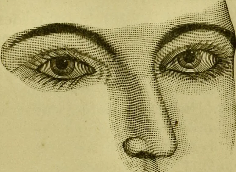 An illustration from A system of practical and scientific physiognomy, or, How to read faces : being a manual of instruction in the knowledge of the human physiognomy and organism, embracing the discoveries of located signs of character in the body and face, as shown by the five natural divisions of the countenance. Volume 2 / by Mary Olmstead Stanton., 1890, leaf 392