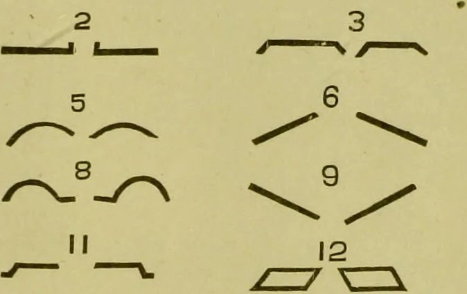 An illustration from A system of practical and scientific physiognomy, or, How to read faces : being a manual of instruction in the knowledge of the human physiognomy and organism, embracing the discoveries of located signs of character in the body and face, as shown by the five natural divisions of the countenance. Volume 2 / by Mary Olmstead Stanton., 1890, leaf 399