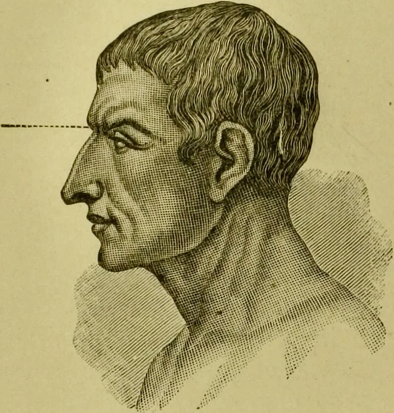 An illustration from A system of practical and scientific physiognomy, or, How to read faces : being a manual of instruction in the knowledge of the human physiognomy and organism, embracing the discoveries of located signs of character in the body and face, as shown by the five natural divisions of the countenance. Volume 2 / by Mary Olmstead Stanton., 1890, leaf 40