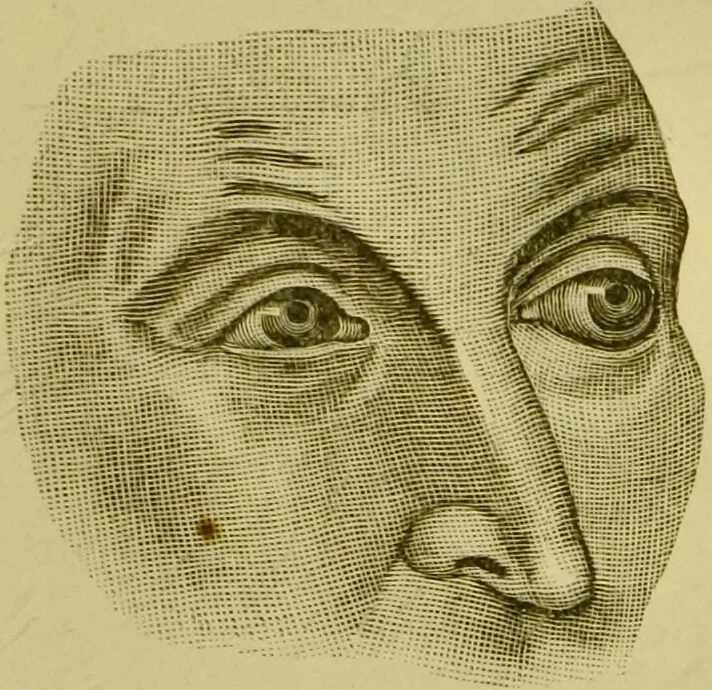 An illustration from A system of practical and scientific physiognomy, or, How to read faces : being a manual of instruction in the knowledge of the human physiognomy and organism, embracing the discoveries of located signs of character in the body and face, as shown by the five natural divisions of the countenance. Volume 2 / by Mary Olmstead Stanton., 1890, leaf 403