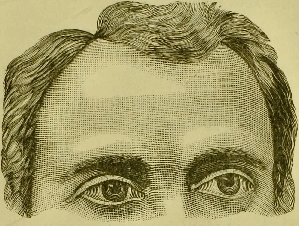 An illustration from A system of practical and scientific physiognomy, or, How to read faces : being a manual of instruction in the knowledge of the human physiognomy and organism, embracing the discoveries of located signs of character in the body and face, as shown by the five natural divisions of the countenance. Volume 2 / by Mary Olmstead Stanton., 1890, leaf 413